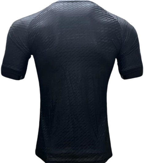 ARGENTINA 2024 player's version training jersey camiseta remera de entrenamiento version jugador